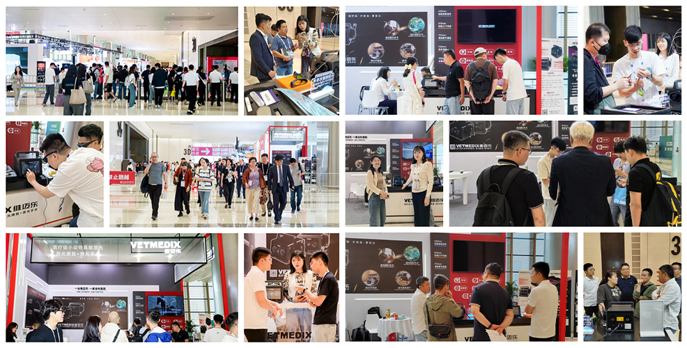 [Vetmedix] ভেটেরিনারি লেজারের নতুন থেরাপিউটিক টুল, 16 তম ইস্ট-ওয়েস্ট স্মল অ্যানিমাল ভেটেরিনারি কনফারেন্স, জ্বলজ্বল করছে।