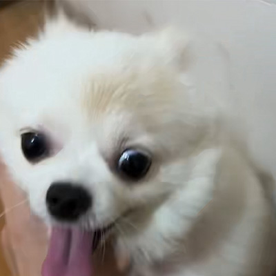 ভেটমেডিক্স কেস শেয়ারিং